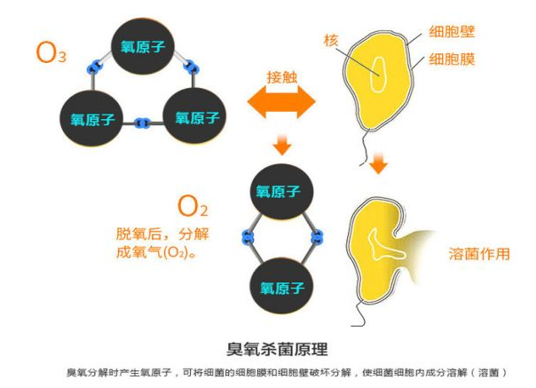 沐鸣娱乐·(中国)官方网站 - 手机版APP下载