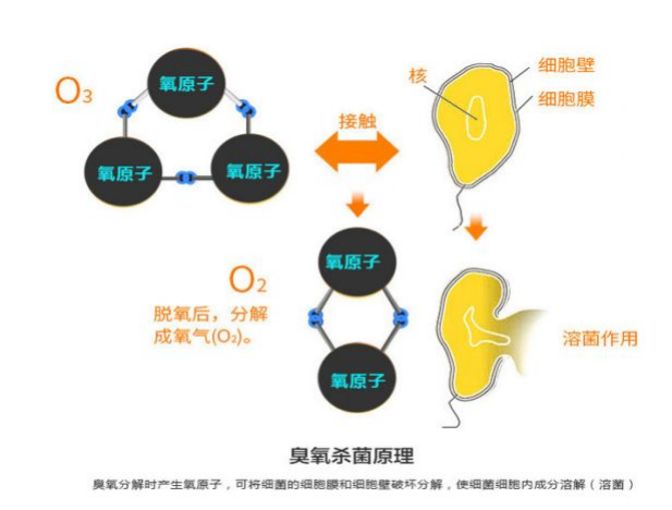 沐鸣娱乐·(中国)官方网站 - 手机版APP下载